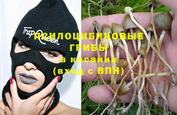 дурь Баксан
